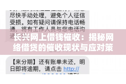 长兴网上借钱催收：揭秘网络借贷的催收现状与应对策略