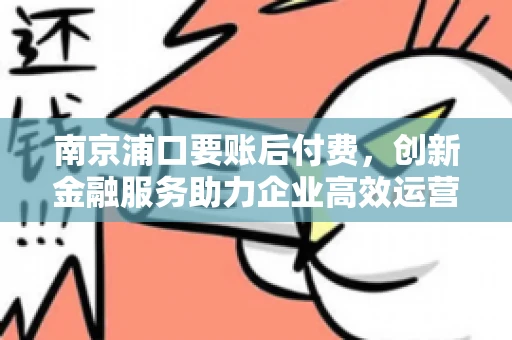 南京浦口要账后付费，创新金融服务助力企业高效运营