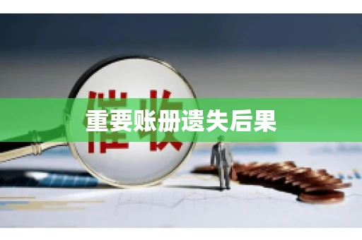 重要账册遗失后果