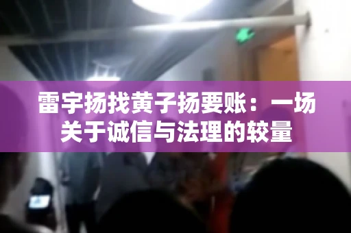雷宇扬找黄子扬要账:一场关于诚信与法理的较量 雷宇扬找黄子扬要账:一场关于诚信与法理的较量