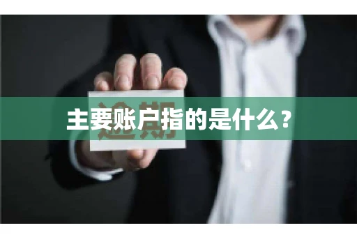 主要账户指的是什么？