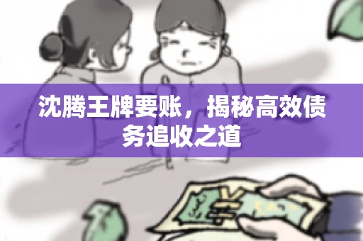 沈腾王牌要账,揭秘高效债务追收之道 沈腾王牌要账,揭秘高效债务追收之道